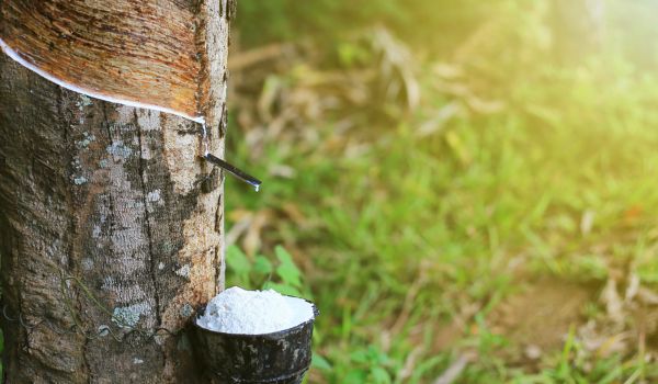 Natural Rubber